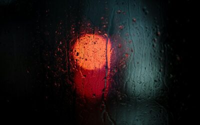 Erreur Simulateur Retraite : L&rsquo;Audit H.A.L.O. Révèle 11 Trimestres d&rsquo;Erreur (Cas Client)